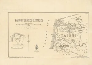 Tainui Survey District [electronic resource] / W. Gordon, del, Feb. 1904.