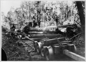 Logs being transported on Stuart and Chapman's bush tramway, Seddon Terrace,