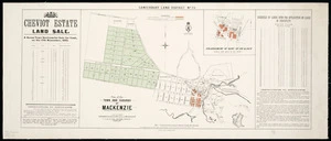 Canterbury Land District. No. 73 : plan of the town and suburbs of Mackenzie.