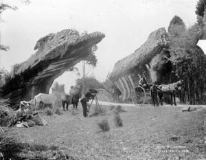 Devils Boots rock formations at Rockville, five kilometres from Collingwood, and photographer