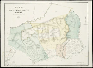 Plan of the Lyndon estate, Amuri : the property of G. and J. Tinline / J. Rochfort, surveyor.