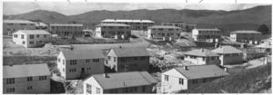 State housing in Porirua East