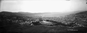 Muir & Moodie: [View of Wellington from Brooklyn]