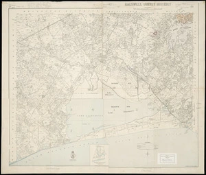 [Composite map of following SD's 79 Leeston, 1890: 80 Hallswell, 1893: 94 Southbridge, 1897 & 95 Ellesmere, 1899]
