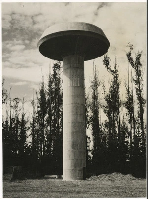 Bulls water tower