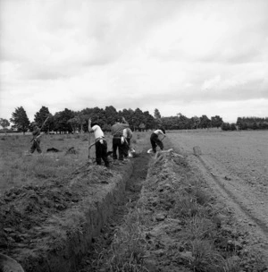 Japanese prisoners of war digging a ditch to drain a field near Featherston
