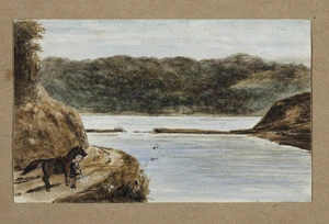 Pearse, John 1808-1882 :Bay at Porirua N. Zd. [Between 1852 and 1856]