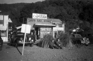 Days Bay Store