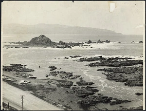 Rocky shore, and Taputeranga Island, Island Bay, Wellington