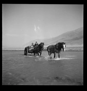 Two-horse cart crossing the Rakaia River