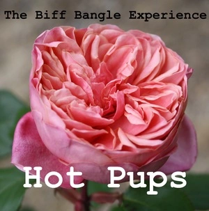 Hot pups / The Biff Bangle Experience.