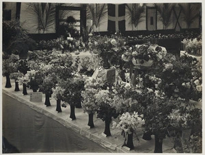 Flower arrangements at an Auckland Horticultural Society flower show