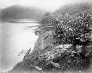 Beach at Na Koro Suli, Wai-na-Mala [River]