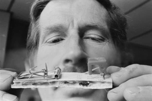 Barry Dwane holds a mousetrap that is infested with beetles - Photograph taken by Ross Giblin