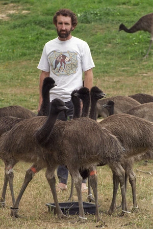 Emu breeder Murray Goss with emu chicks - Photograph taken by Melanie Burford