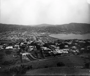 Overlooking Wellington City