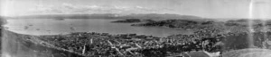 Creator unknown: Panorama of Wellington from Wireless Station