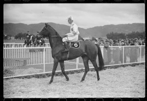 Horse at Trentham