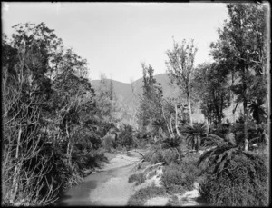 Mahakipawa Creek, Marlborough