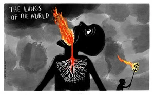 The lungs of the world