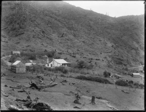 Childs family home at Akatarawa, Wellington