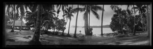 View in Samoa [probably near Apia], through trees to water and land in the distance
