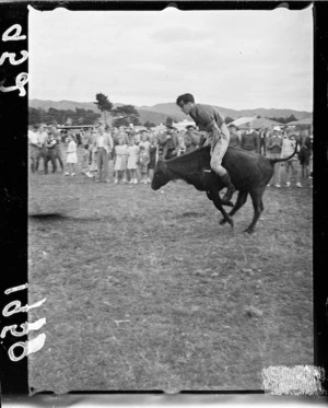 Rodeo at Upper Hutt