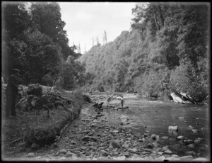 River at Taihape, with children fishing
