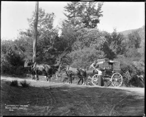 Coach travelling to Nelson