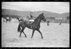 Horse and jockey at Trentham
