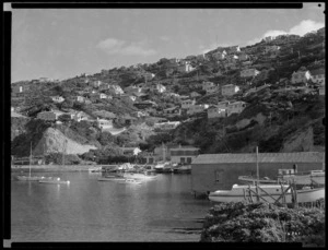 Balaena Bay, Wellington