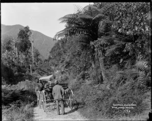 Man with horse drawn cart, by a tree fern, Buller Road, West Coast