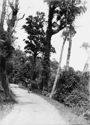 Wadestown Road, Wellington