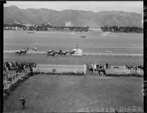 The Ngaio Hurdles race