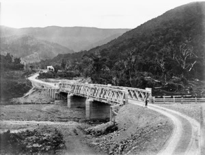 Bragge, James, 1833-1908 :Bridge over Abbott's Creek, and native bush, Featherston County