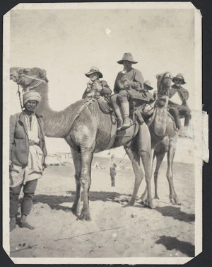 Wounded soldiers being transported on camels, Egypt.