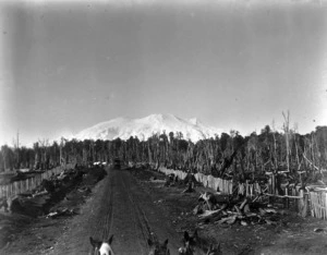 Ruapehu from Horopito