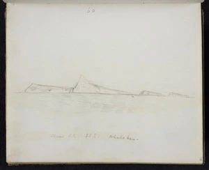 (60) Slipper Isle, S.S.E. Whakahau