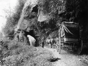 Group and carriage on the Buller Gorge Road