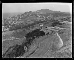 View from Alexander Road, Hataitai, towards Newtown Park and Wellington Zoo