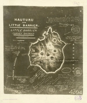 New Zealand Geographic Board copy :Hauturu or Little Barrier - Little Barrier Survey District [facsimile]. [1880?]