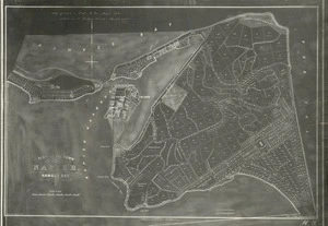 Koch, Augustus Carl Ferdinand, 1834-1901 : Plan of the Town of Napier, Hawke's Bay [copy of map]. [ca 1865]