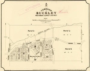 New Zealand. Department of Lands and Survey : Map of Township of Buckley [Huiroa] Ngatimaru Survey District [map with ms annotations]. 1893