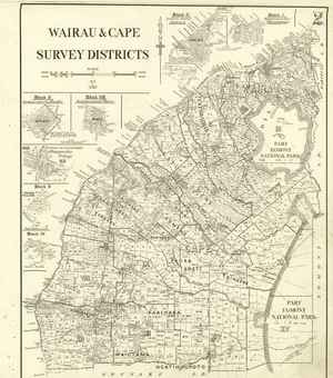New Zealand. Department of Lands and Survey : Wairau & Cape Survey Districts [map with ms annotations]. [no date]