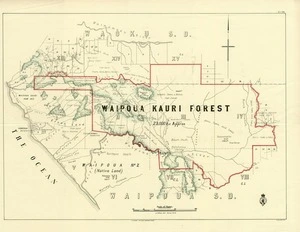 New Zealand. Department of Lands and Survey :[Waipoua kauri forest] [map]. June 1908