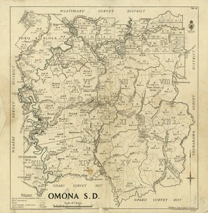 New Zealand. Department of Lands and Survey : Omona Survey District - Taranaki [map with ms annotations]. 1937
