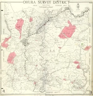 New Zealand. Department of Lands and Survey : Ohura Survey District [map with ms annotations]. 1945