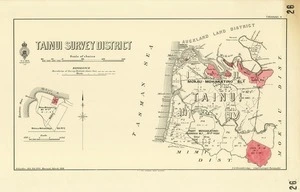 New Zealand. Department of Lands and Survey : Tainui Survey District [map with ms annotations]. 1948.