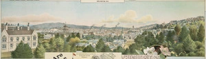 F W Niven & Co. :View of Wellington N Z from Hill Street, Thorndon [ca 1895].