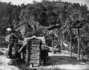 Mundy, Daniel Louis, 1826-1881: Ponga log hut amongst bush at Thames